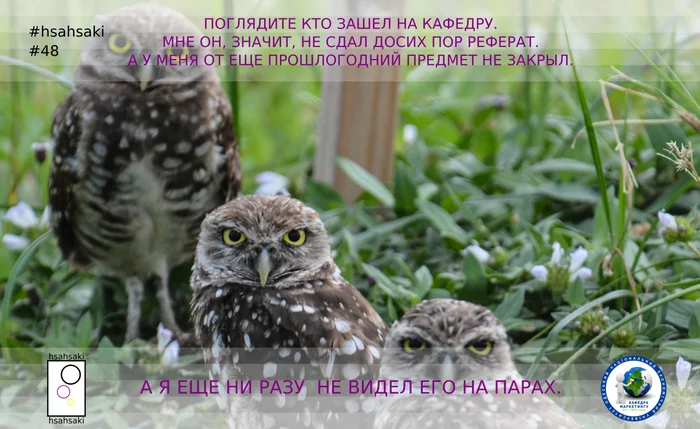 The student was unlucky to quietly enter the department on his own question - My, University, University, Students, Teacher, Pulpit, Disturbance, abstract, Duty, , Absenteeism, Animals, Owl, Memes, Picture with text