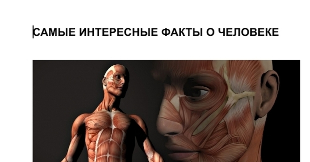 Какие мышцы называют антагонистами примеры Программы тренировок Сообщество "Бди Себя Спортивное Сообщество" на DRIVE2