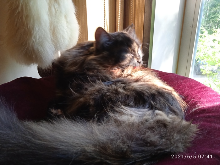 �������� ��������