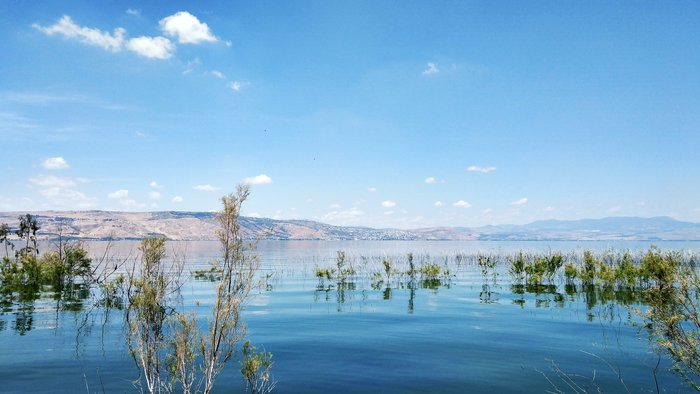 Lake Kinneret - My, Mobile photography, Landscape, Lake, Israel