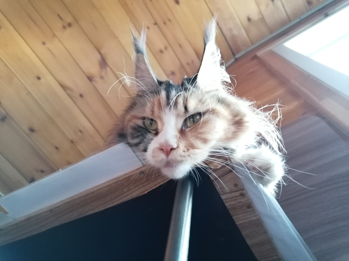 � �� ��� �� ��� �������?