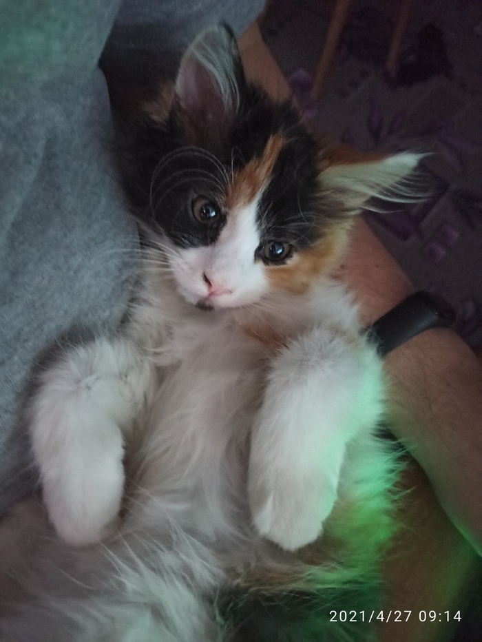 ����� ������