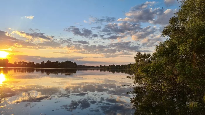 Summer sunset - My, The photo, Nature, Summer, beauty, Sunset