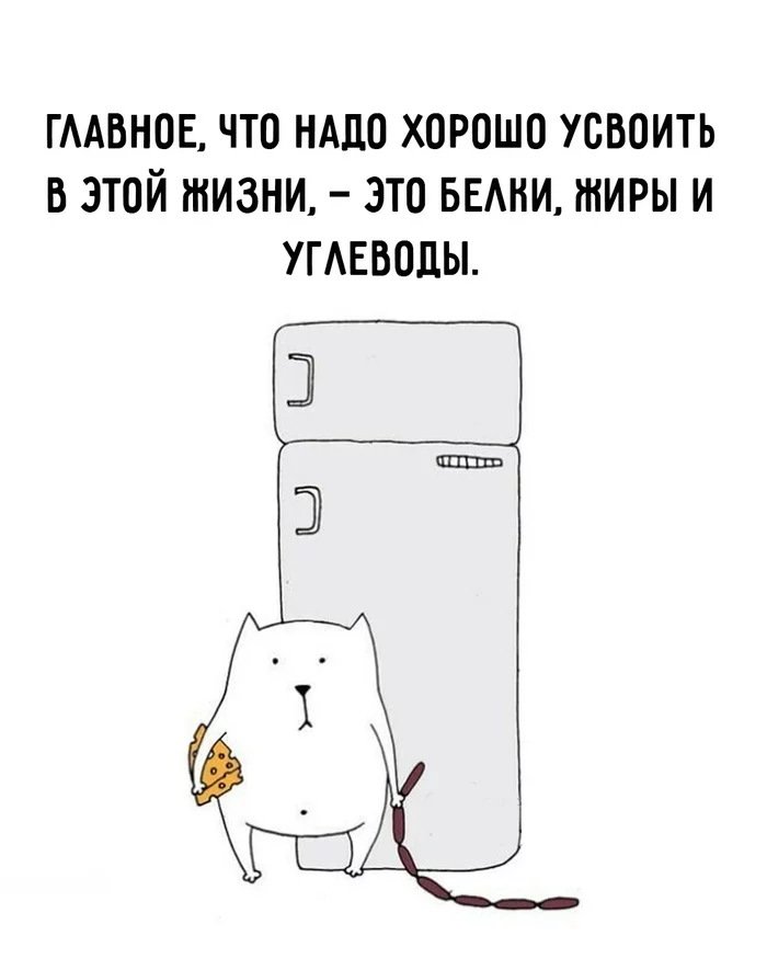 The main thing in life - Picture with text, cat