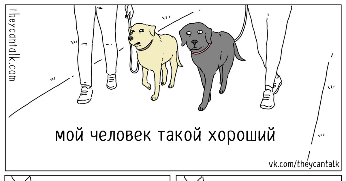 I m dog перевод. Переводчик для собак с человеческого. Theycantalk комикс на русском.