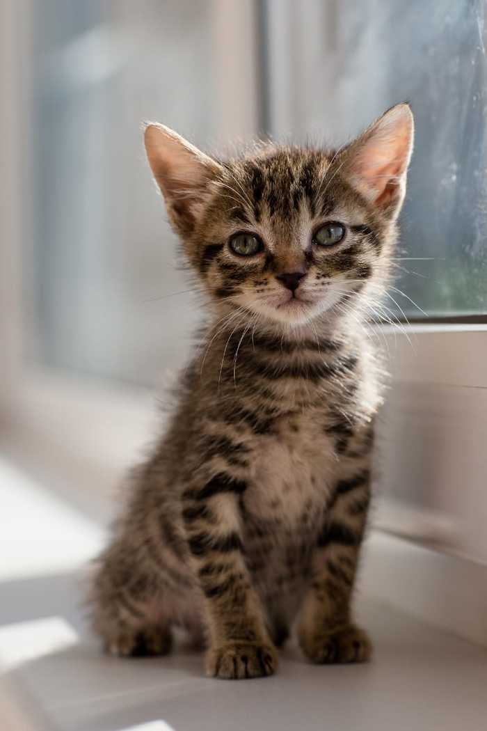 ����� ���� ��� � ������ ����, ������, ��� ��������, ����������, ���, ������, ���������� ����, �����������