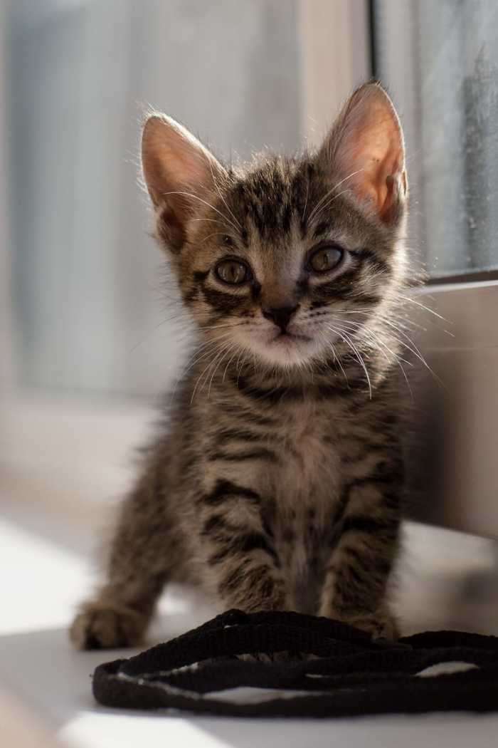 ����� ���� ��� � ������ ����, ������, ��� ��������, ����������, ���, ������, ���������� ����, �����������