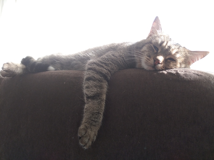 ��� � �������