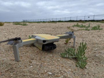 Hundreds of birds left egg clutches, frightened by a drone - Birds, Tern, Drone, Nature Park, Masonry, Eggs, Reserves and sanctuaries, USA, , Abandoned, Ecology, Tragedy, Harm, Southern California, The national geographic, Pests, Longpost, Negative