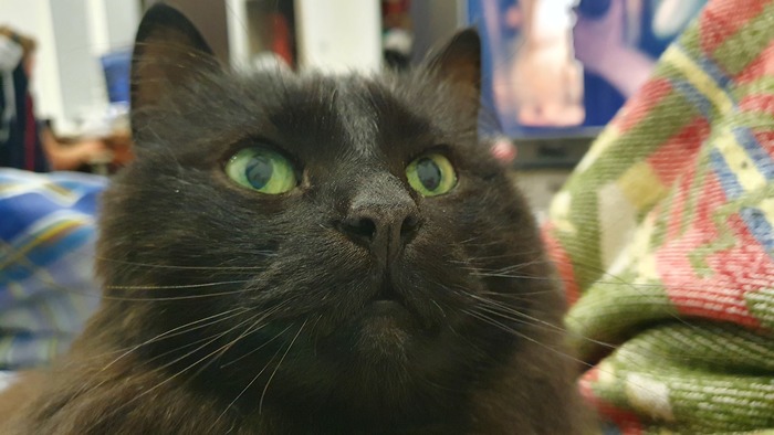 � �� ������, ��� �� ���� ������?