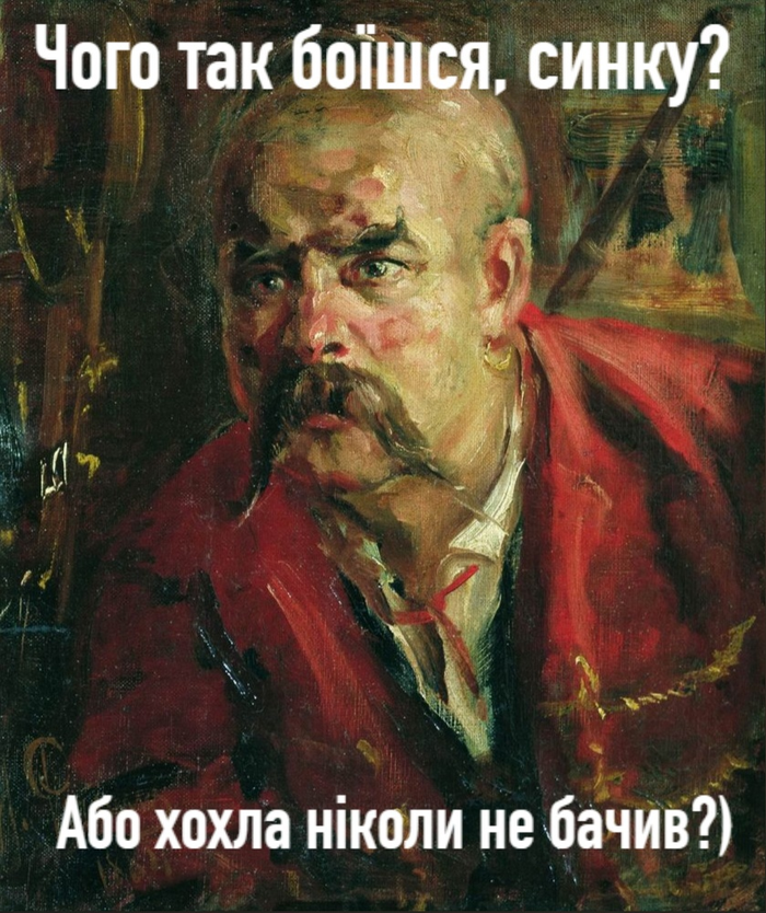  ? Cat_Cat, , , , 