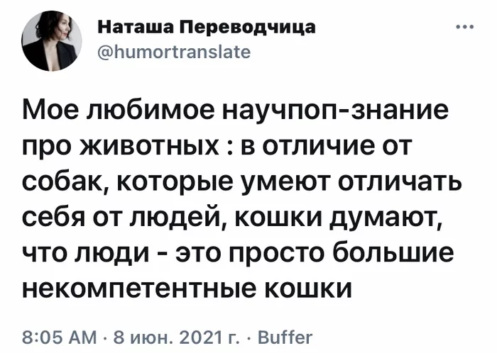 Некомпетентные - Скриншот, Twitter, Кот, Собака, Наташа Переводчица - Twitter