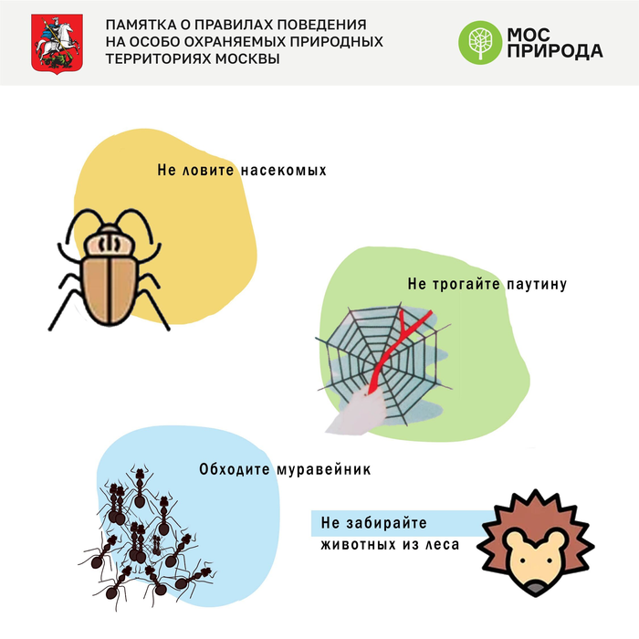 что нужно делать перед походом в лес. Смотреть фото что нужно делать перед походом в лес. Смотреть картинку что нужно делать перед походом в лес. Картинка про что нужно делать перед походом в лес. Фото что нужно делать перед походом в лес