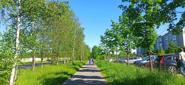 Around Rybinsk by bike - My, Bike ride, Around, Rybinsk, Mobile photography, Longpost
