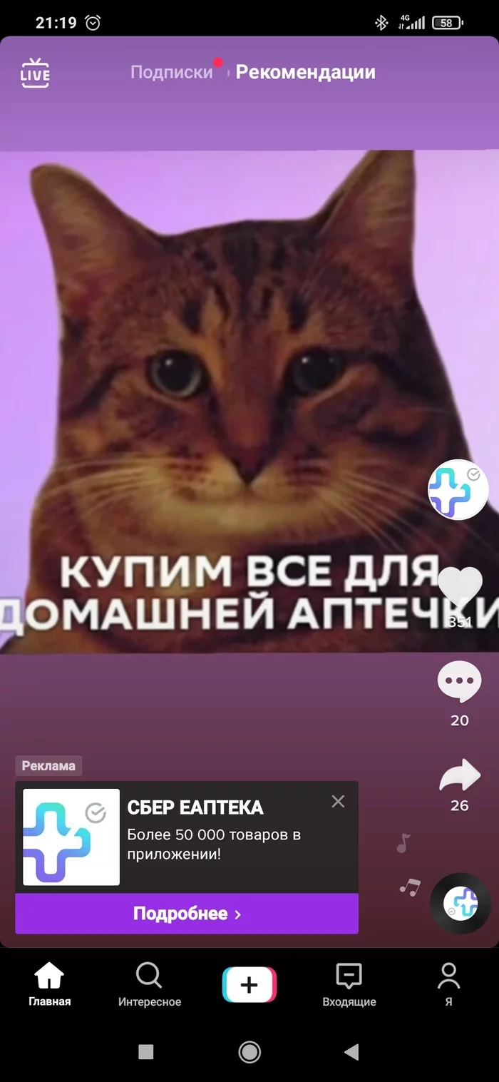 Sberbank encroached on the sacred - My, Understanding cat, Sberbank, Longpost, Screenshot, Advertising, cat