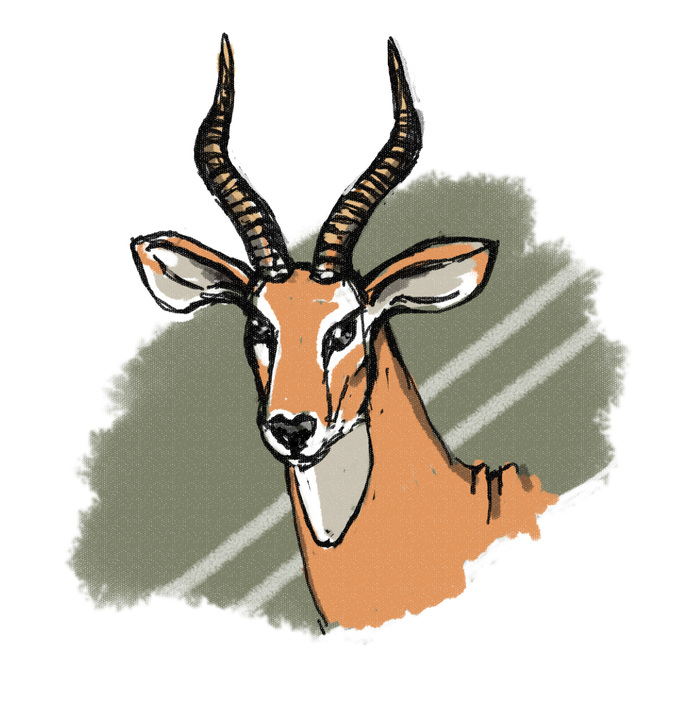 Дело было вечером