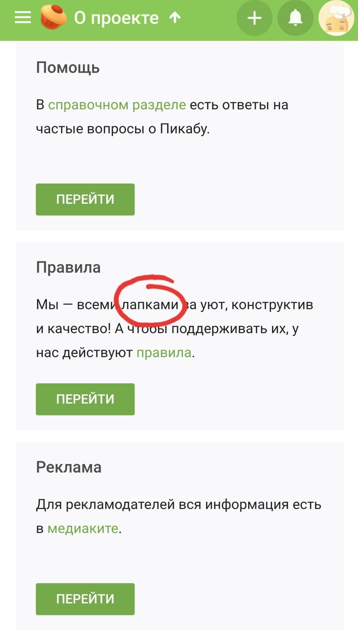 Котики правят миром! Пикабу не исключение