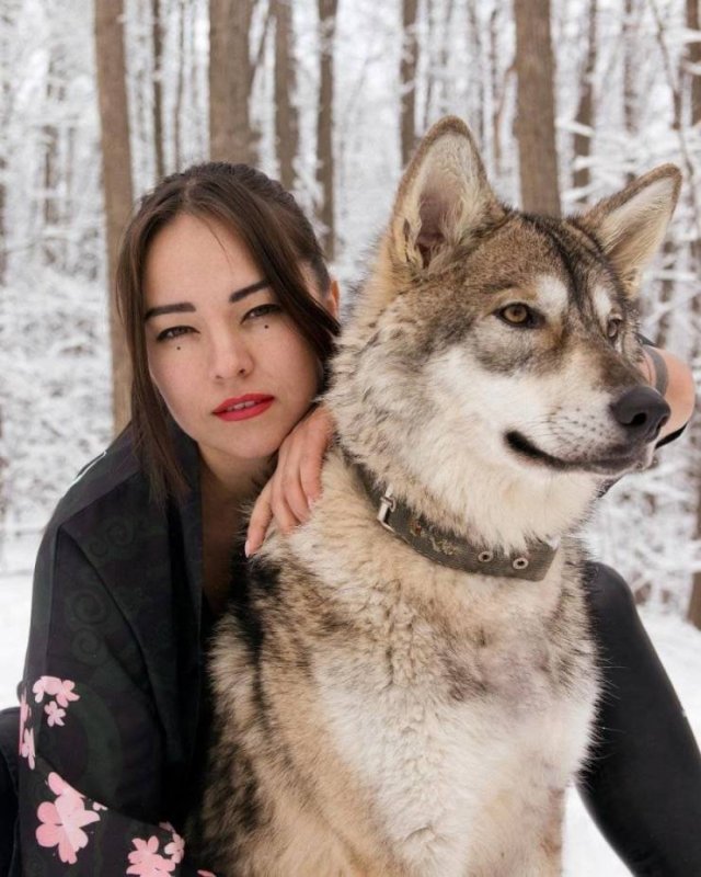 girl and wolf - Girls, Wolf, Longpost, Wolfhound, Ufa