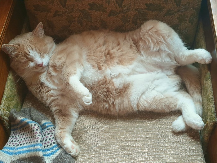 После ночной охоты ))