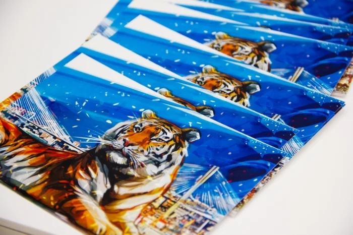 Tigers and people live in harmony: the Tiger Post project was presented in Primorye - Tiger, Amur tiger, Big cats, Cat family, Дальний Восток, Primorsky Krai, Post office, Presentation, , Animal protection, Animals, Protection of Nature, FEFU, Longpost