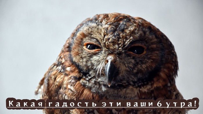     ! ,  ,    , , , , 