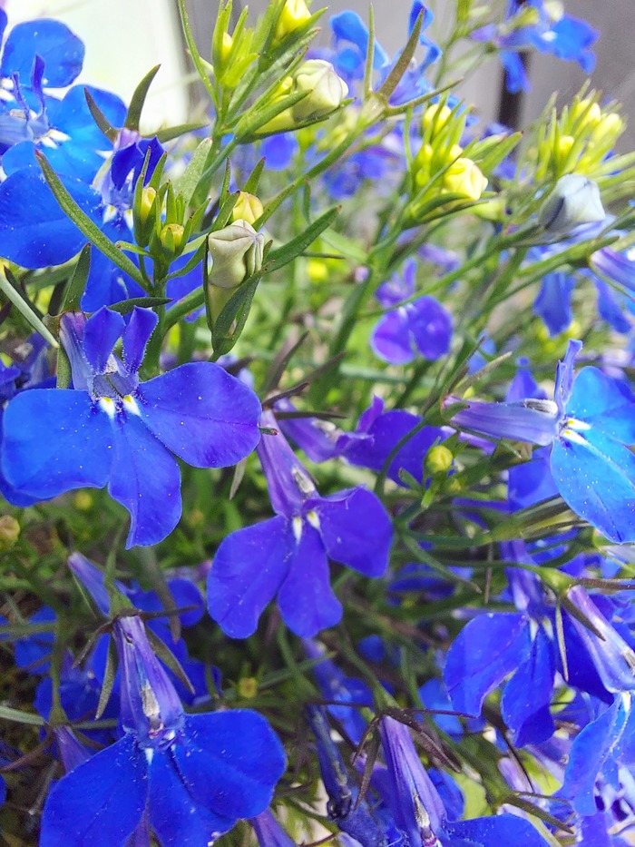 ����� ������ ����� �������)))