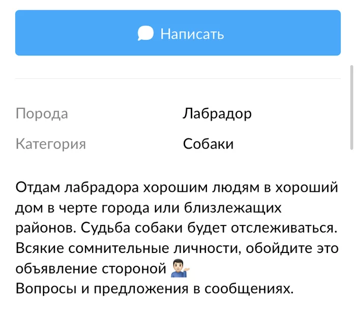 Отдам лабрадора хорошим людям... - Длиннопост, Грусть, Непонимание, В добрые руки, Собака