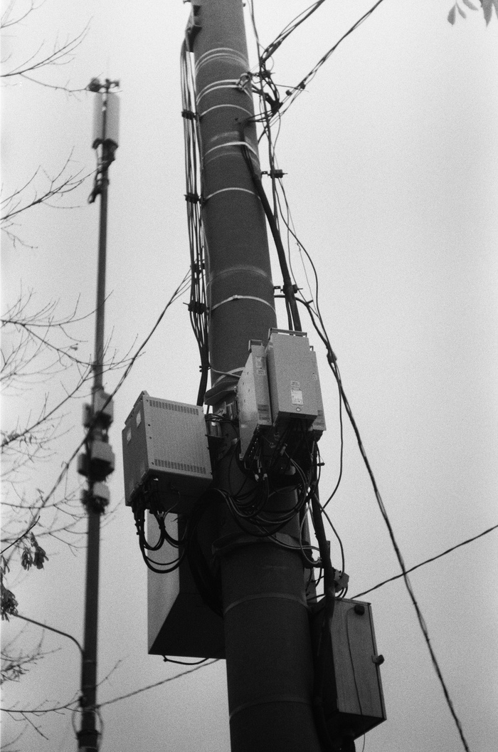 Моё первое знакомство с аналоговой фотографией Пленка, Фотография, Начинающий фотограф, Длиннопост, 35мм, Пленка не умерла, Фотопленка
