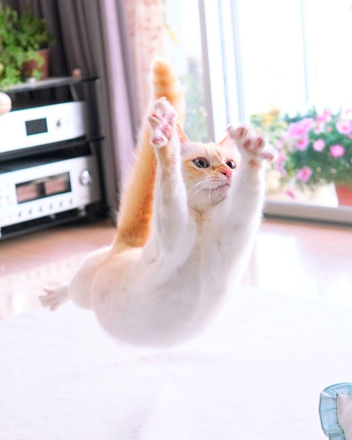  , ,  , , 
