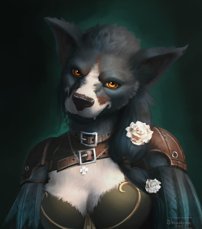  , , , Furry wolf, , World of Warcraft, Shadoca