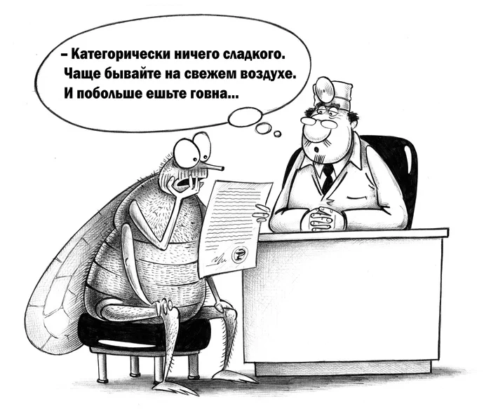 At the doctor - My, Sergey Korsun, Caricature, Pen drawing, Doctors, Муха, Recommendations, Treatment, Proper nutrition