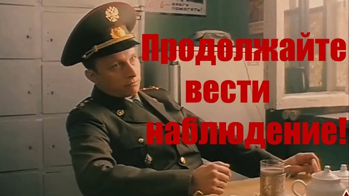 сколько дней высиживает яйца вяхирь. Смотреть фото сколько дней высиживает яйца вяхирь. Смотреть картинку сколько дней высиживает яйца вяхирь. Картинка про сколько дней высиживает яйца вяхирь. Фото сколько дней высиживает яйца вяхирь