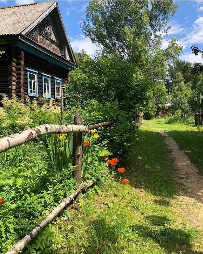 Summer in the village of Shchelykovo, Kostroma region - Kostroma region, Village, Summer, The nature of Russia, Travel across Russia, Wooden house, Front garden, The photo