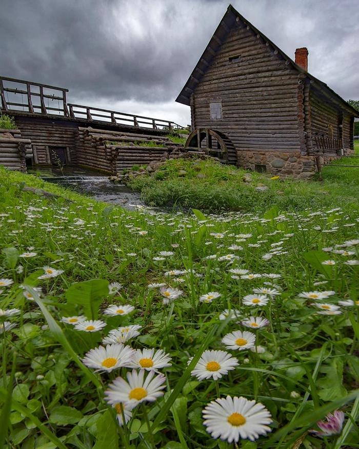 ��������� ����