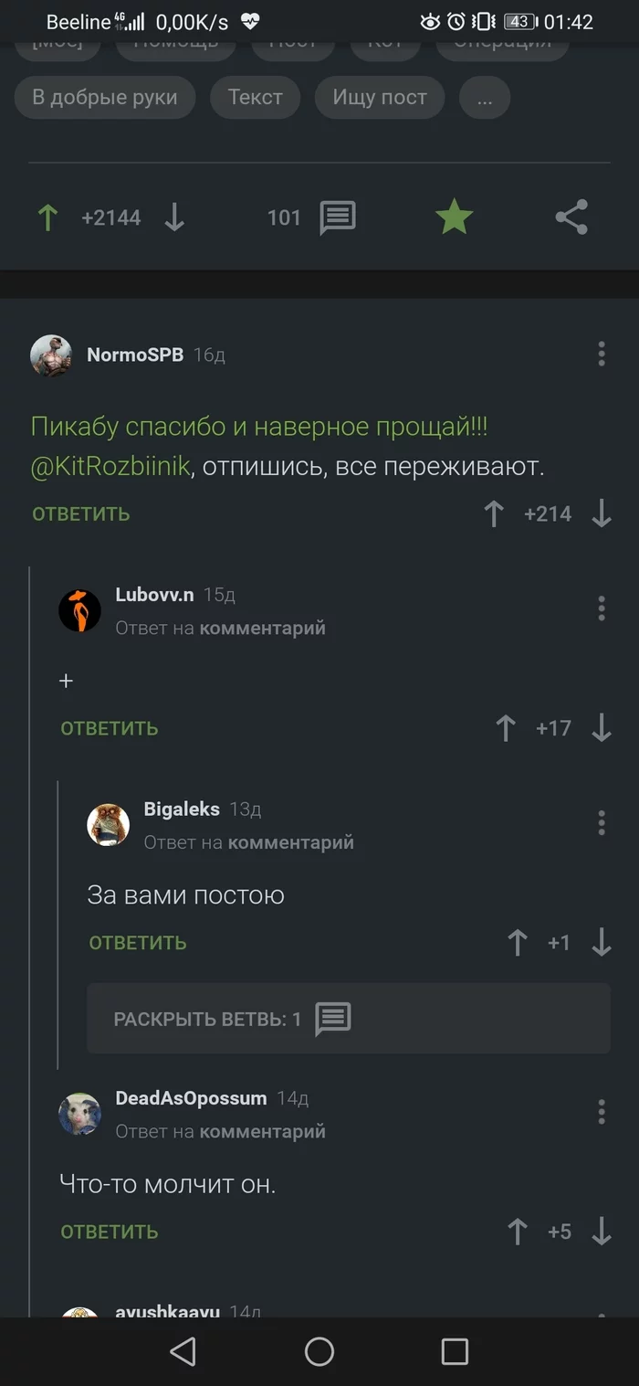 Друзья, ищем @KitRozbiinik. Беларусь, это к вам - Пропал человек, Ожидание, Болезнь, Выздоровление, Без рейтинга, Потеряшка, Пикабушники, Длиннопост, Республика Беларусь, , Комментарии на Пикабу, Скриншот