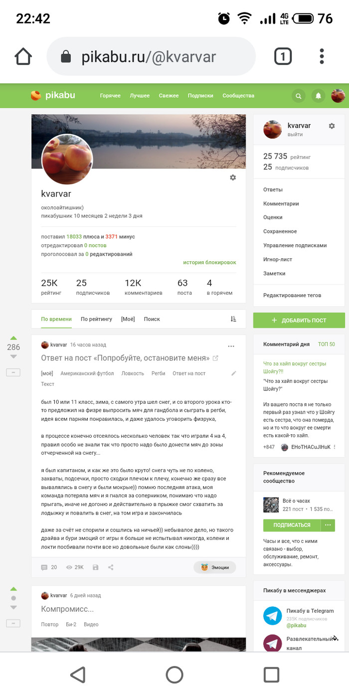 Верните нормальную мобильную версию пожалуйста