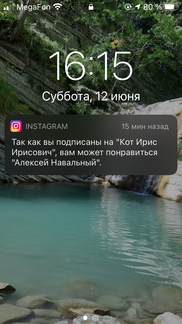 Iriska the cat and Alexei Navalny - My, Instagram, Recommendations, Humor, Alexey Navalny