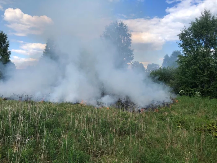 We made it in time. Forest fire. Arkhangelsk region. D. Malinovka - My, Fire, Ministry of Emergency Situations, Arkhangelsk region, Fire, Forest, Father, Heroes, Video, Longpost