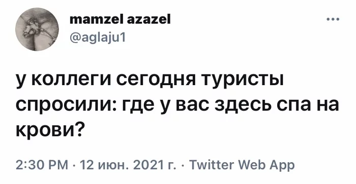 С пиявками, видимо - Юмор, Скриншот, Twitter, Спа, Туристы, Спас-На-Крови, Санкт-Петербург