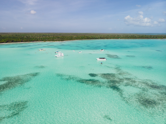 ��������� �������. �����