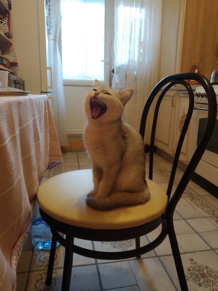 ��� ��������� 24/7