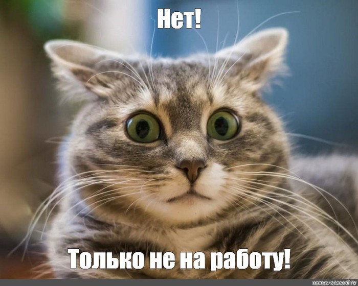 ����� ���������� � ������������ � ����