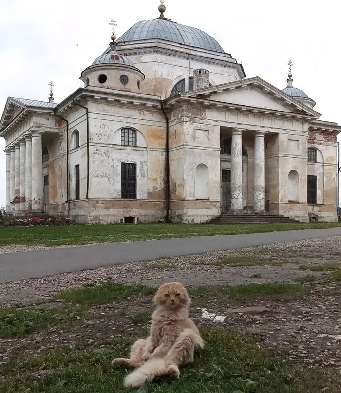 When he was filled with his knowledge - My, Torzhok, cat, Church, Meditation