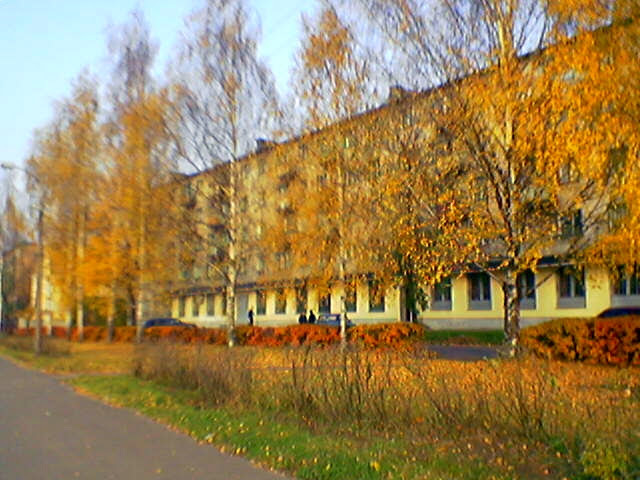 Воспоминания на 0.3 Мп - Моё, Мобильная фотография, Siemens, Воспоминания, 2007, Молодость, Длиннопост