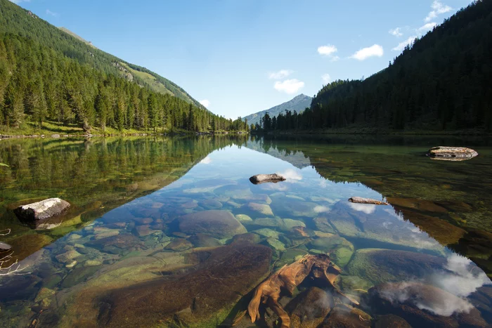 Mountain Altai. - My, Mountain Altai, River, Tourism, Hike, Nature, wildlife, Mountain river, The mountains, , The photo, Altai Republic