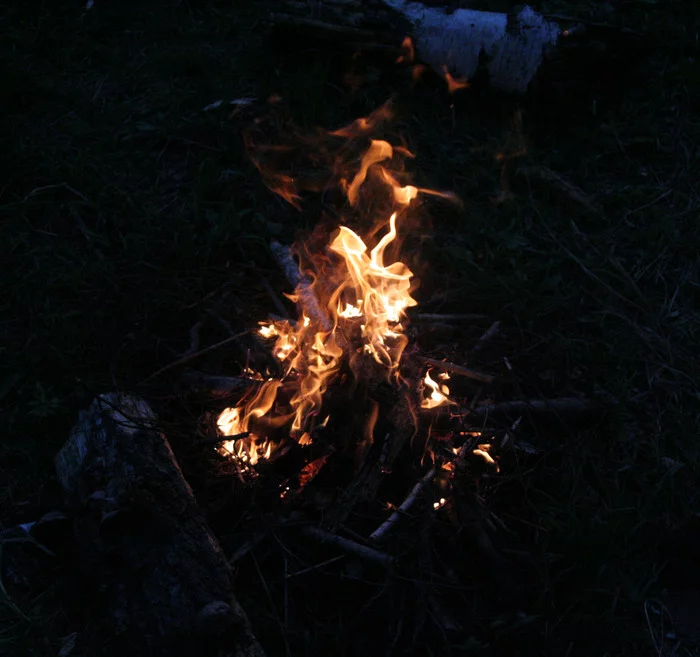 Bonfire - My, Forest, Bonfire, Picture with text