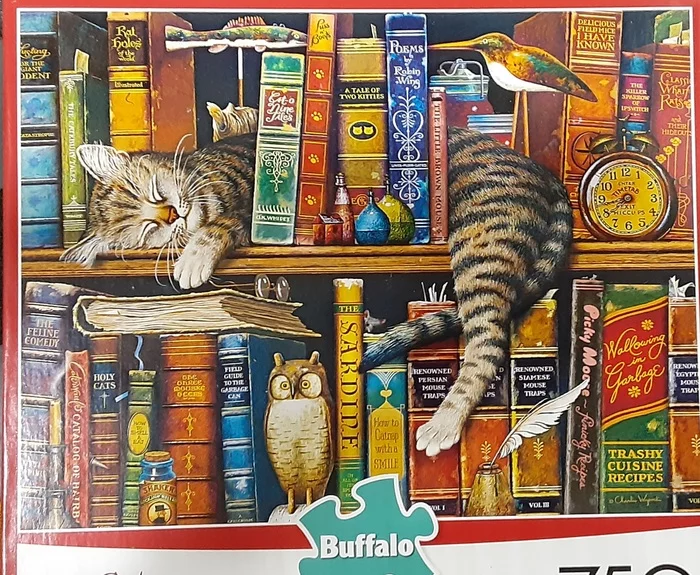 Good night - My, Milota, cat, Peace, Story, Dream, Bookshelf, Painting