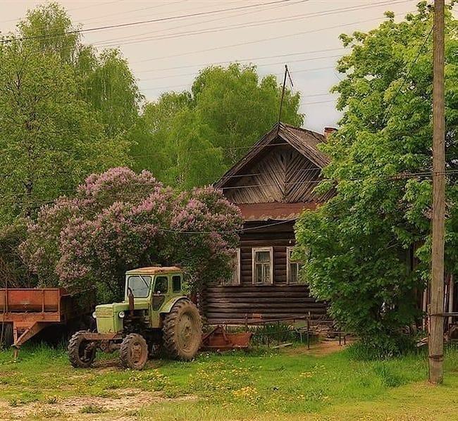 Parking under the lilac - Penza Oblast, Village, Parking, Tractor, Lilac, The nature of Russia, Travel across Russia, Wooden house, , House in the village, The photo