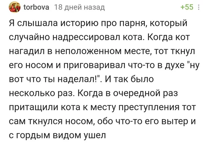 Подавись, кожаный мешок! - Кот, Дрессировка, Не понял, Истории из жизни, Юмор, Комментарии на Пикабу, Скриншот