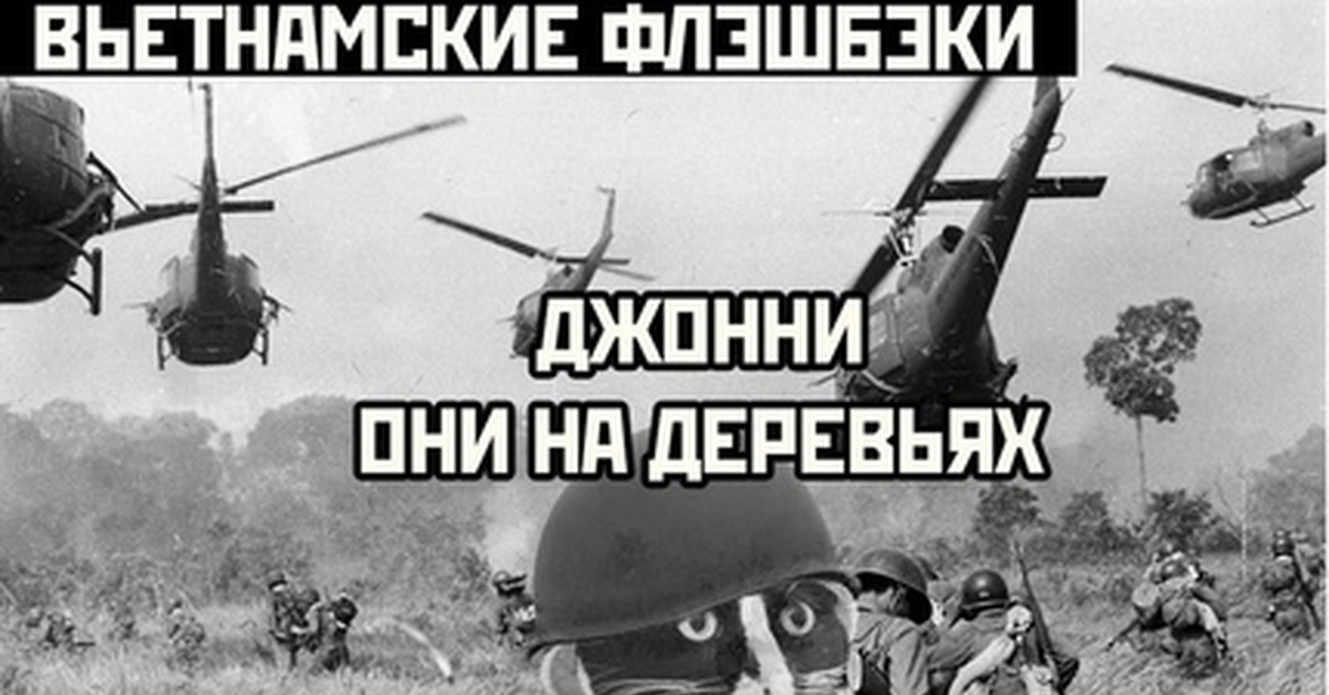 Вьетнам мем. Флешбеки это в психологии. Добро пожаловать во Вьетнам Мем с пчелой.